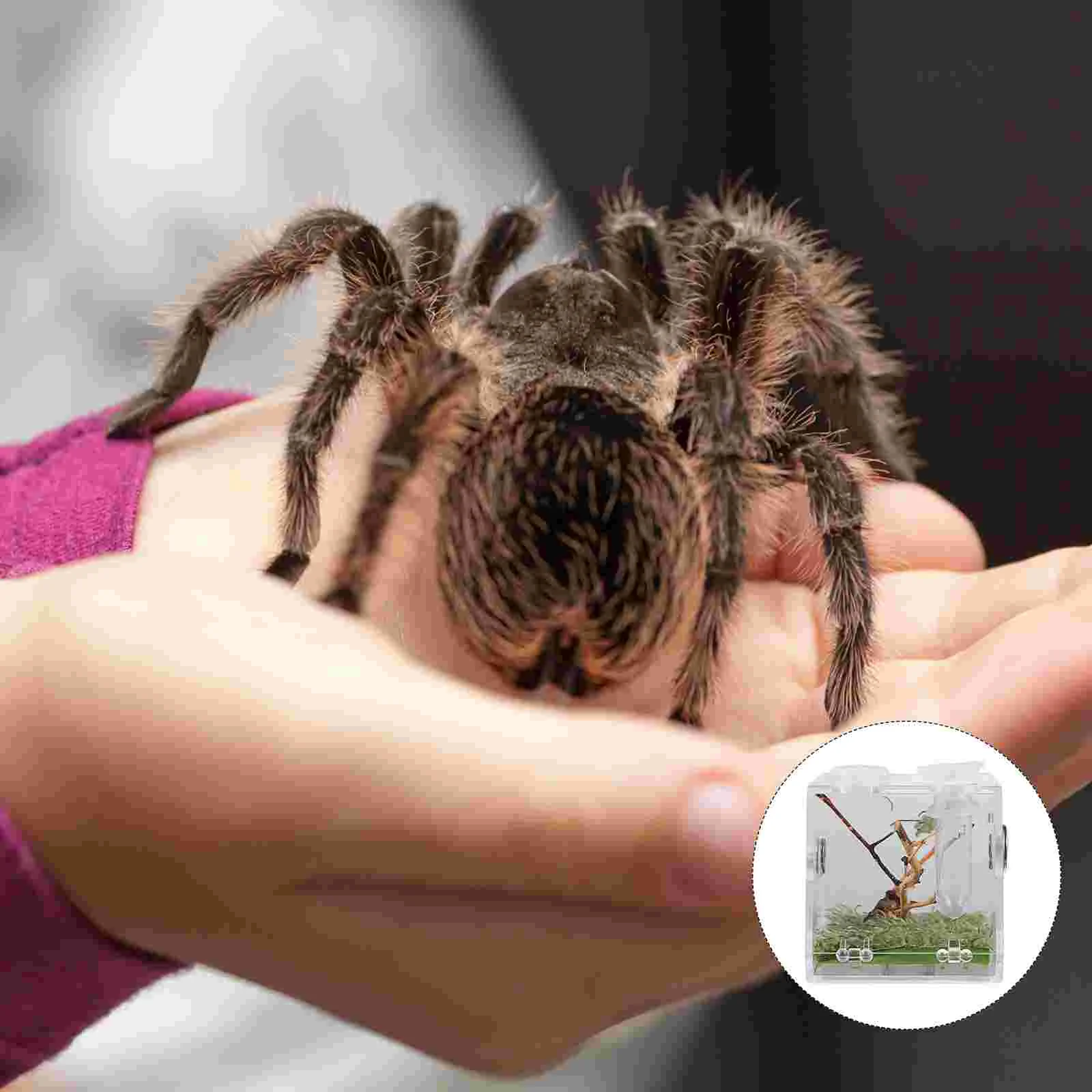 Jumping Spider Breeding Box Terrarium Pet Reptile Cage Baby Playpen Supply Case Frog