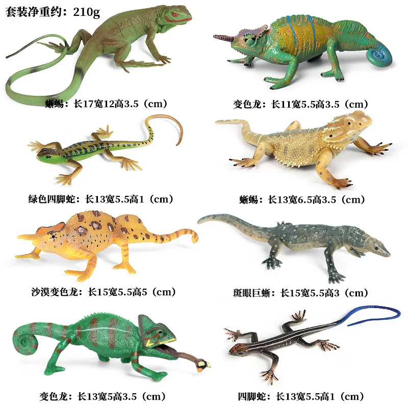 43 Types Insect Ani…