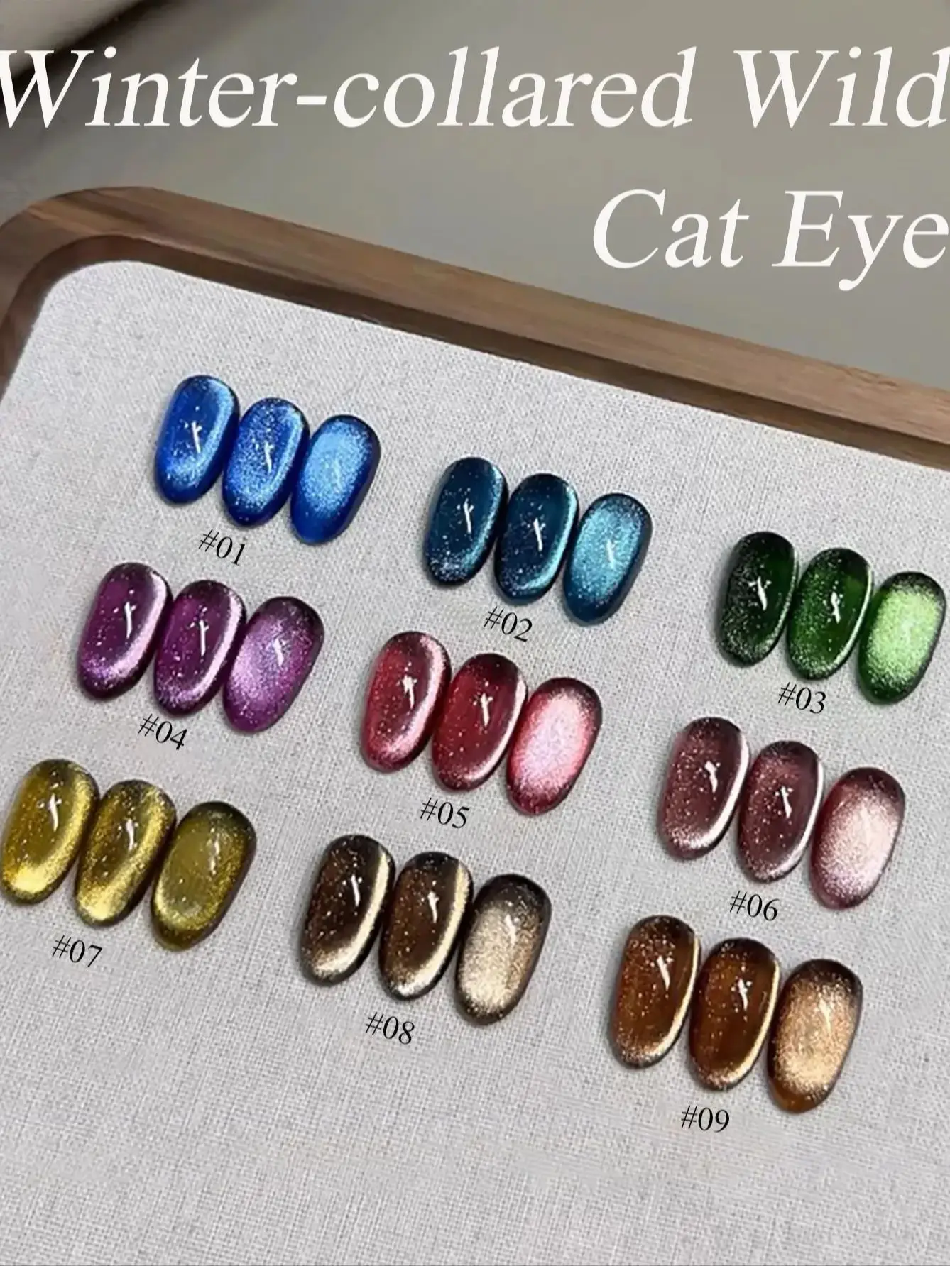 WS Schwarz Glas Katze Magnetische Gel Nagellack Punk Stil Nail art Maniküre Varnis Semi Permanent Gel für Winter Nagel Liefert