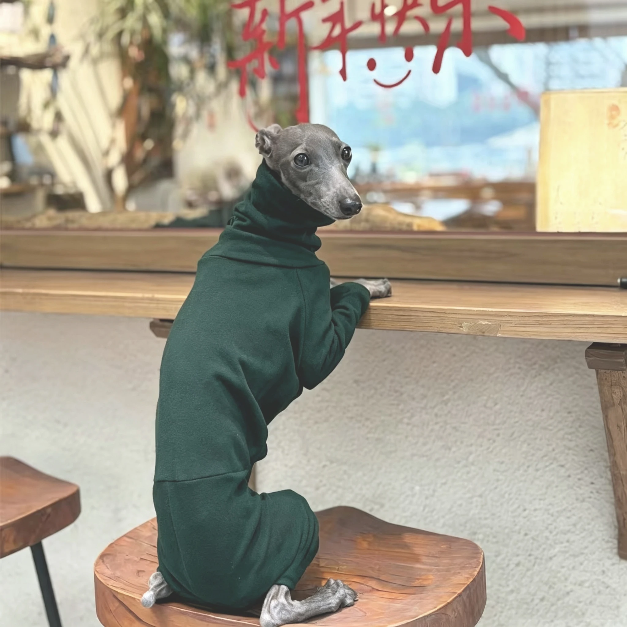 Italienischer Windhund Vierbeinige Kleidung Modische Mehrfarbige Weiche Bequeme Elastische Einfarbige Hundekleidung – Detail 9