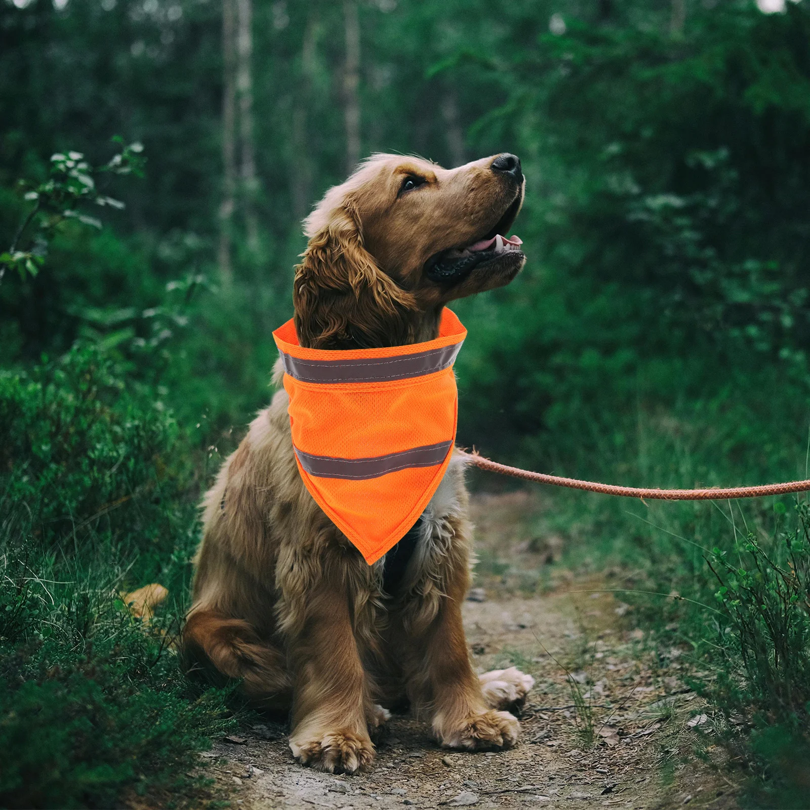 

Reflective Pet Scarf Fluorescent Silver Strip Safety Dog Bandana Washable Puppy Neckerchief Travel Accessory