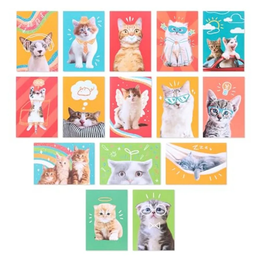 

Blank Cards and Envelopes Assortment Box, Funny Cats, 15 count