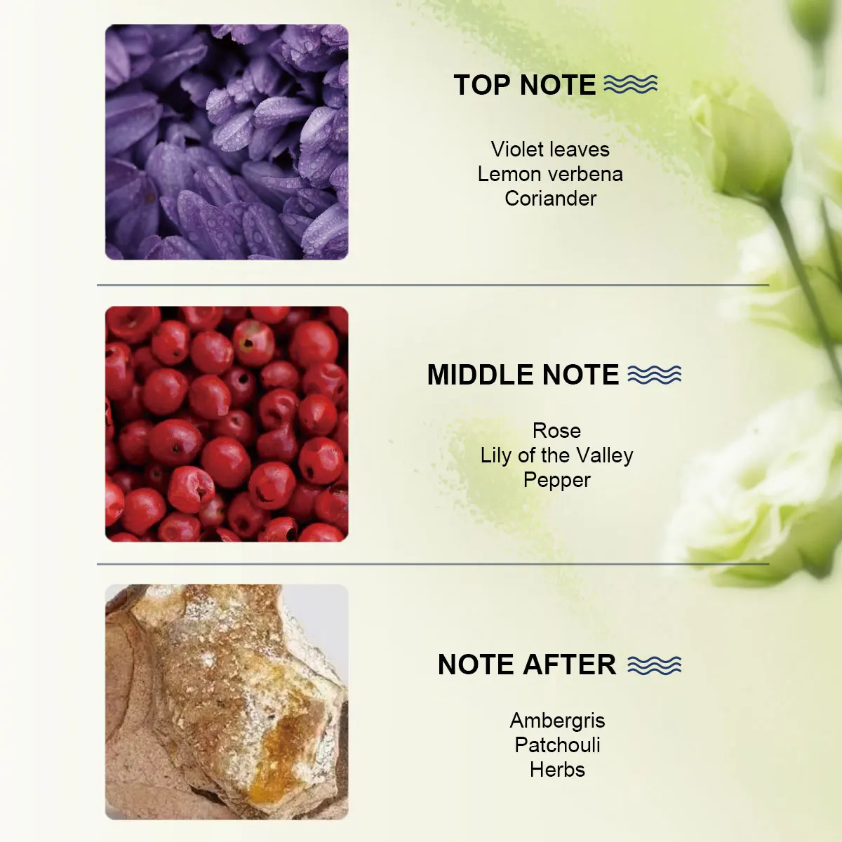 라스타 남성 향수, 앰버그리스 & 패추리, 오래 지속되는 향기, 1.01fl oz/30ml, 크리스마스/새해 선물. 데이트용