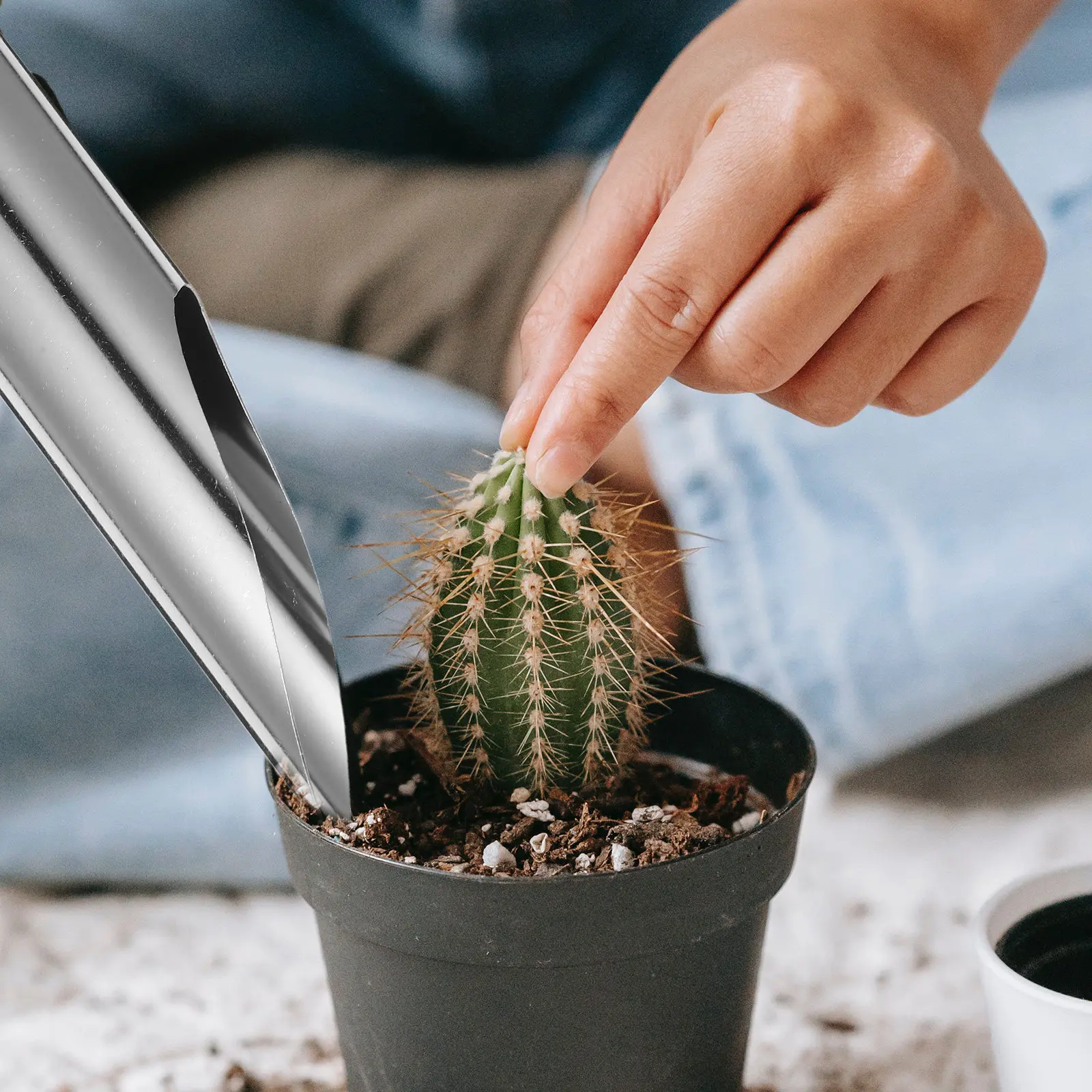 Sekop Kecil untuk Berkebun dar - Soil Scoop Tool ulasan dan harga