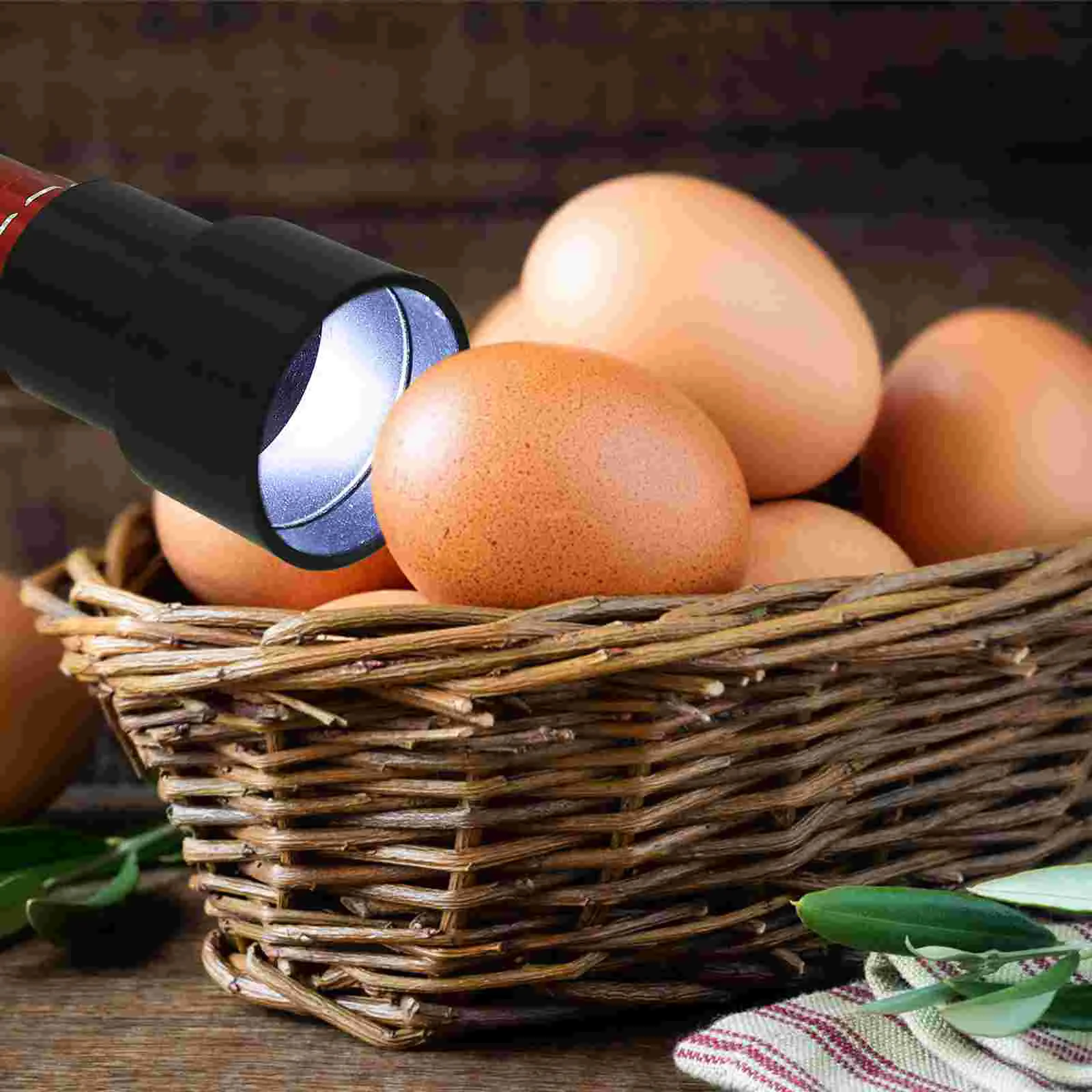 Incubator Ei Licht Gevogelte Incubatie Apparatuur Koude Eggtester Candler Kaarsen Lamp Verwarming