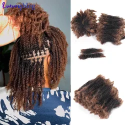 Afro Kinky Curly Bulk Human Hair for Braiding Ombre Brown Crochet Hair Locs Remy Brazilian Hair Extension for Braids No Weft