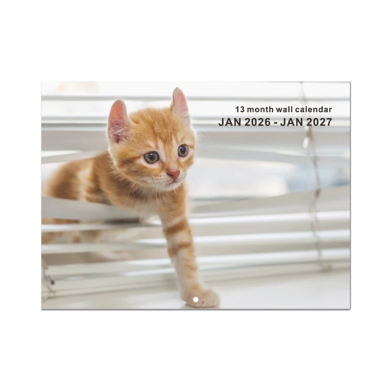 تقويم حائط القطط الفني 2026 ورق سميك معاد تدويره ترقيم واضح خطاف تعليق عملي مثالي لمحبي القطط F19E #2