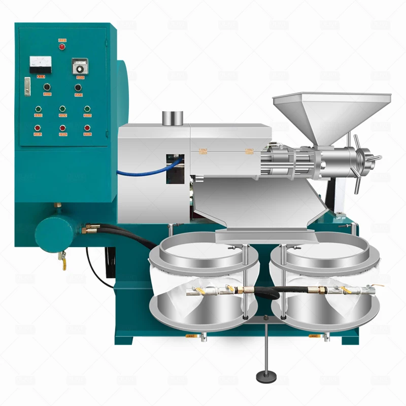 Hot SellingAutomatic Seseme Baobab Seeds Black Grape Seed Mustard China Cooking Oil Making Machine Soybean Palm Fruit Oil Press
