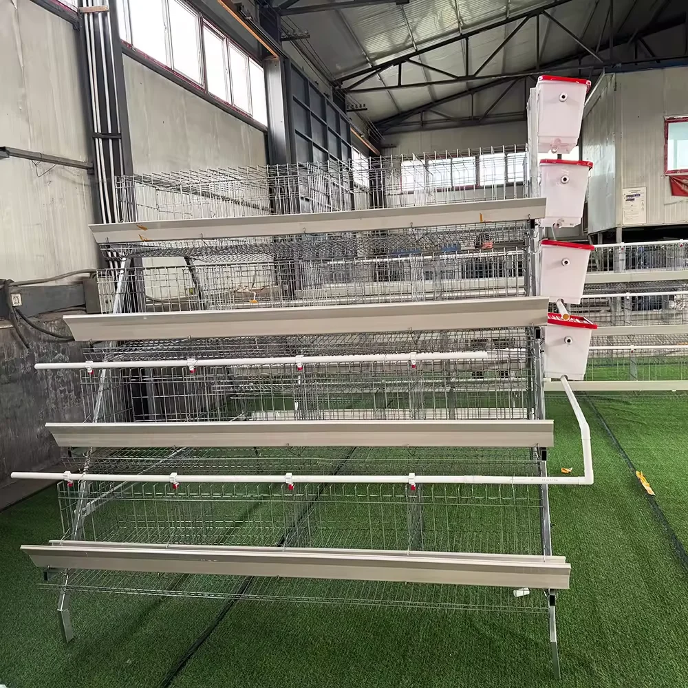 A Type Layer Battery Cage Hot Galvanized Steel Frame Feeding Drinking Manure Cleaning System 3/4 Tiers with 5000 Birds