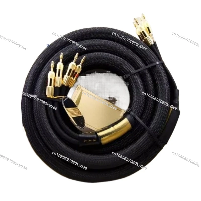 NEW A Pair Choseal 6N OCC Audiophile HIFI Speaker Cable 24K Gold-plated Banana Plug Top Level Speaker Cable 25MMx2.5M LA-5101