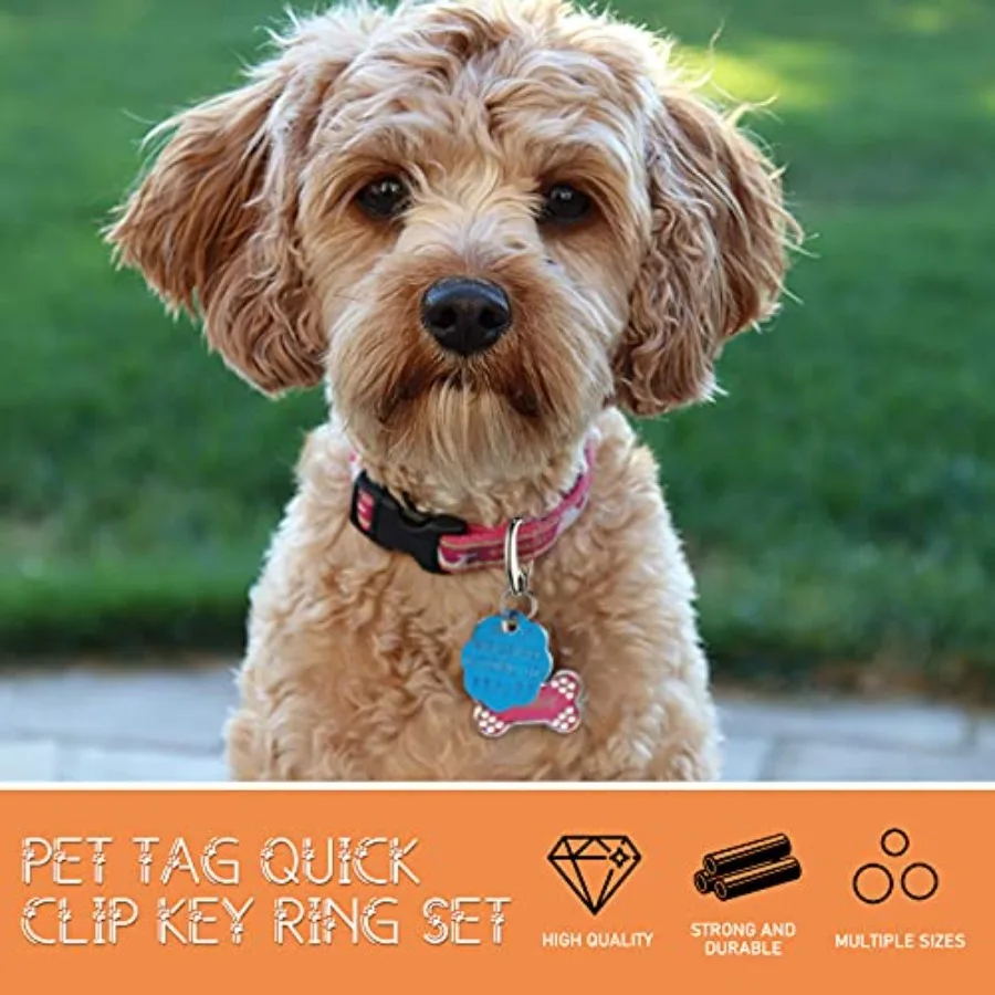 18 Pieces Leash Dog Tag Clip Pet ID Pet Tag Quick Clip Combos with Rings Stainless Steel Quick Clips Holder for Dog Cat 1.9 Ih?