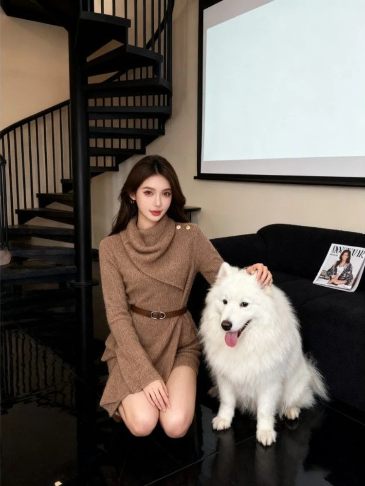 الفرنسية أنيقة عالية الرقبة متماسكة المرأة الخريف الشتاء سليم صالح مربوط سترة مجموعة براون متوهج كم شيك عادية مكتب نمط