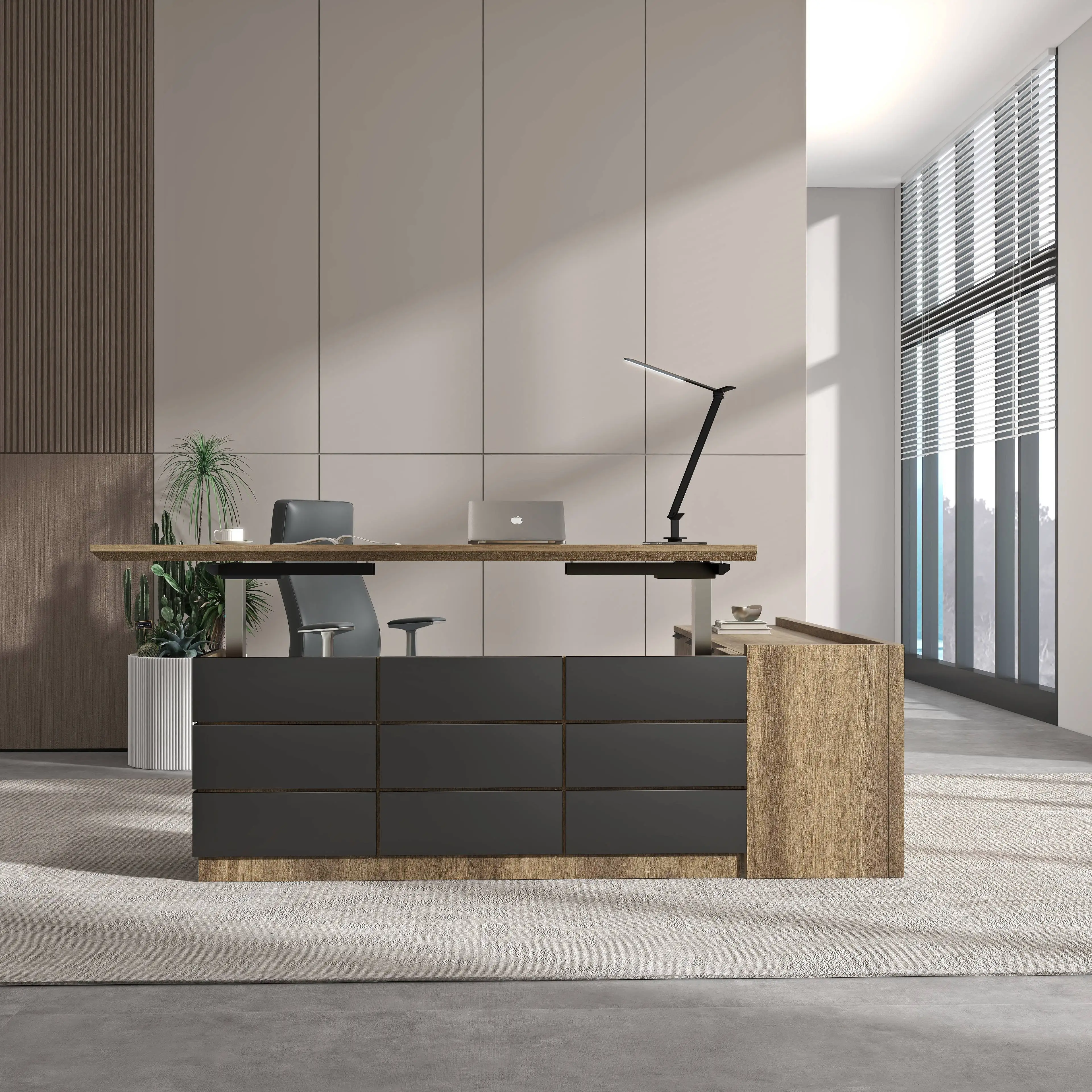 

Customized Black School Student Study Height Adjustable Laptop Desk Dual Motor Metal Sit Standing Electric Table for Learning