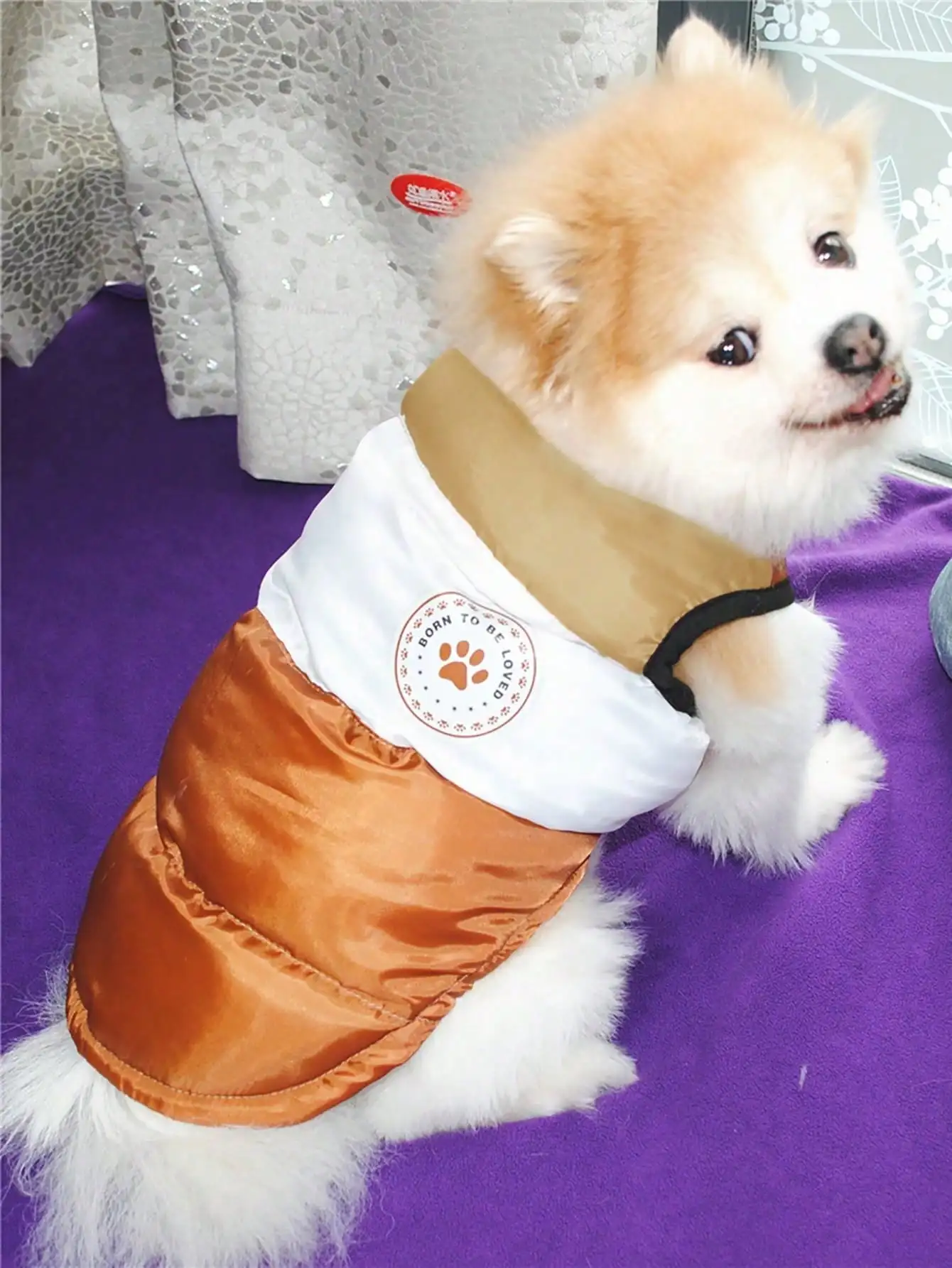 Hundekleidung für Herbst und Winter, warme Haustier-Katzenjacke, wasserdichte Welpenweste für kleine und mittelgroße Hunde, Yorkshire Chihuahua