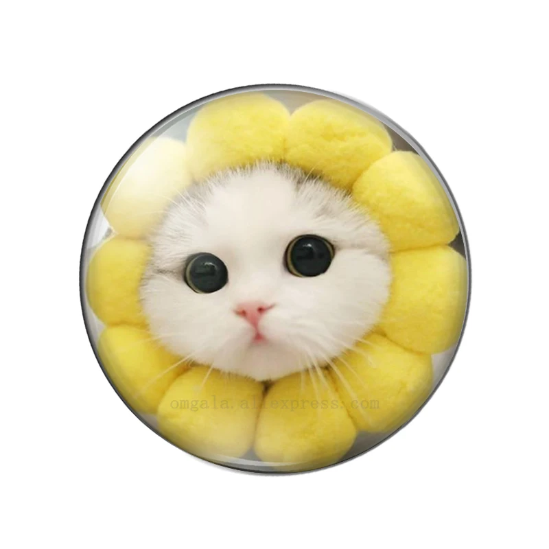 Cute CAT 10pcs mixed 12mm/18mm/20mm/25mm glass snap button Round photo glass cabochon demo flat back Making findings