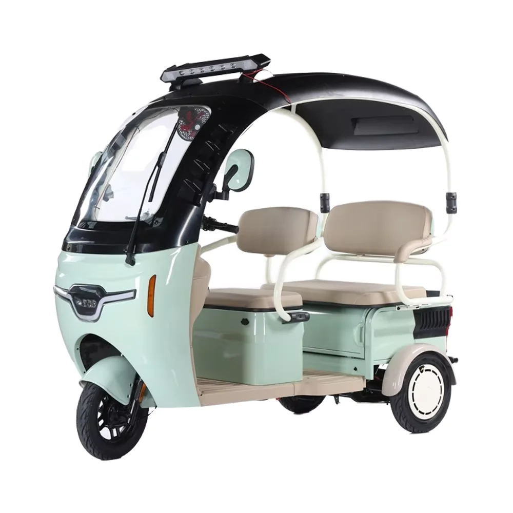 

2025 CE New OEM 48v/60v Adult Tricycle Electric Bike Steel Frame 1000W Power Tuk Tuk Open Body Passenger Electron Driving