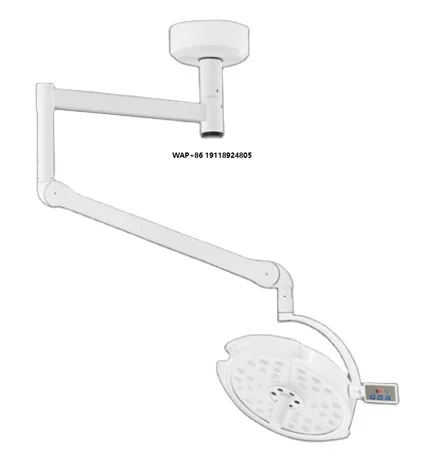 Veterinary Medical Shadowless Operating Room Light Wall Mounted Ceiling Veterinary Surgical OT Light Surgical Light Inspection L