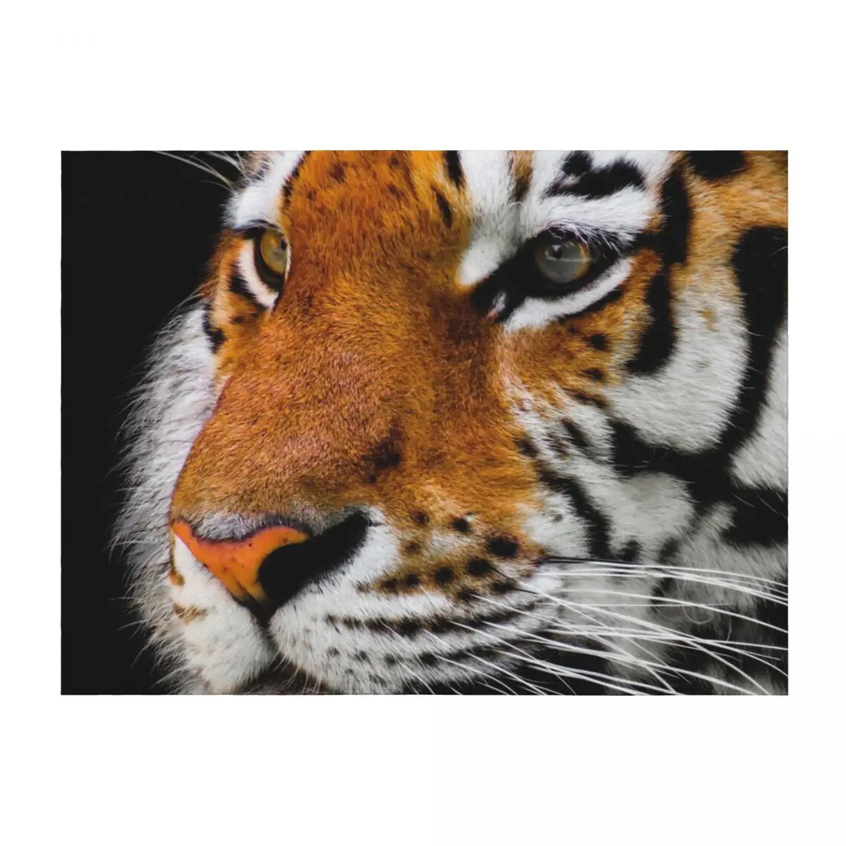 

Bengal tiger Throw Blanket Blankets For Sofas Plaid on the sofa decorative Bed covers Blankets