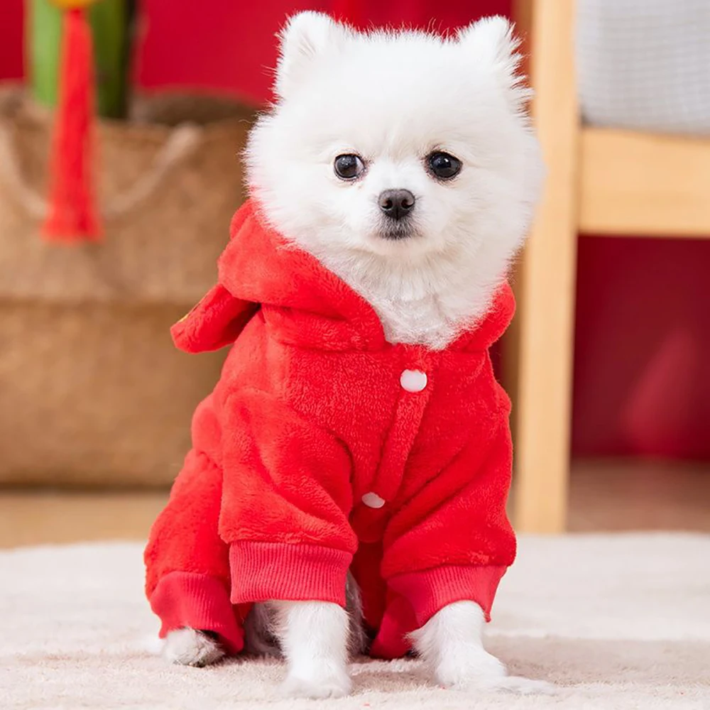 New Year's festive warm and plush God of Wealth transformed into dog clothing, autumn and winter cat teddy pet clothing