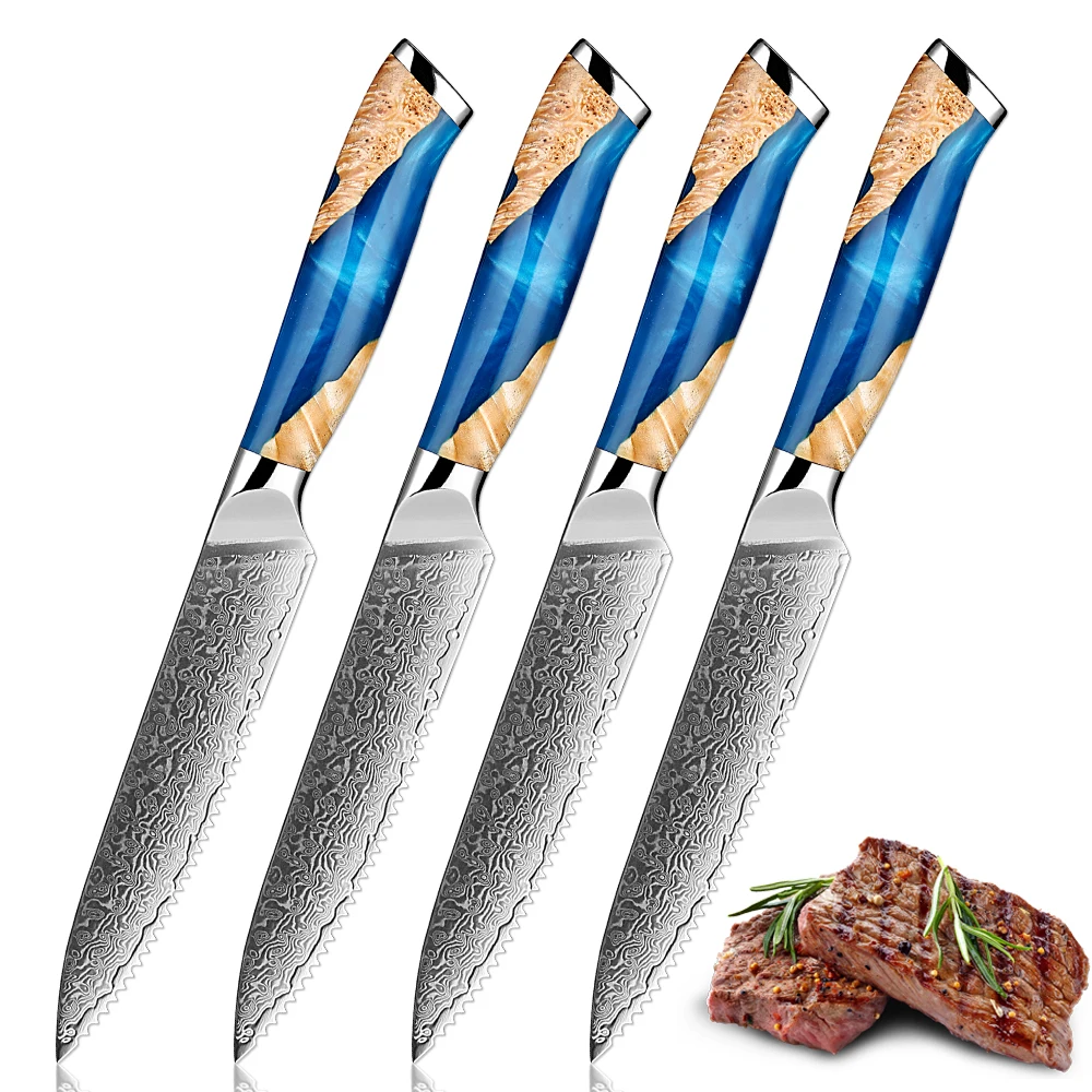 Damascus Steak Knife Set of 1-6 piece, Japanes Damascus VG10 Steel Serrated Western Knife Home & Restaurant Dinner Meat Knives