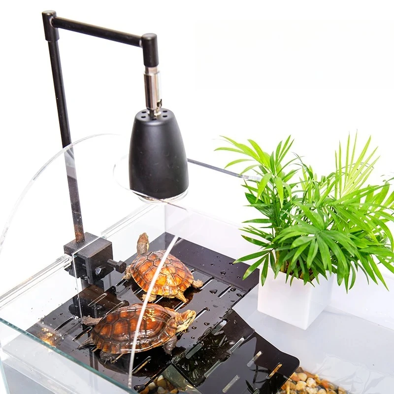Extra Large Turtle Terrarium or Fish Aquarium 2