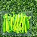 GD15 20pcs 05
