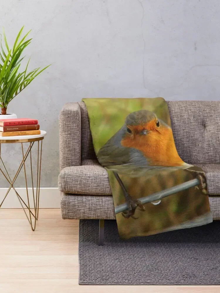 Cute Robin Bird On a Fence Photograph Throw Blanket blankets and throws Single Luxury Thicken Blankets