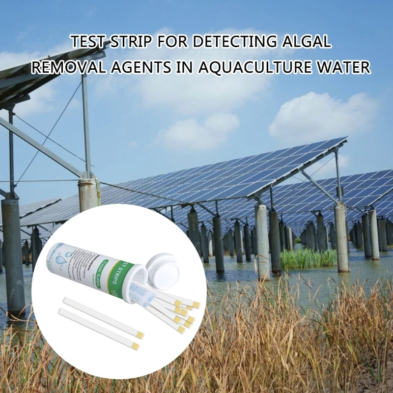 Water Test Strips Accurate Water Quality Analysis For Bromine Alkalinity