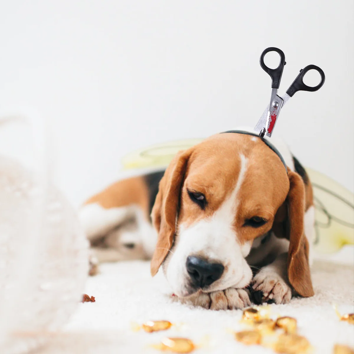Tocado de Halloween para mascotas, sombreros festivos creativos para Cosplay de perros y gatos, accesorios para fotos de desfile de cumpleaños, diseño hueco, Material suave
