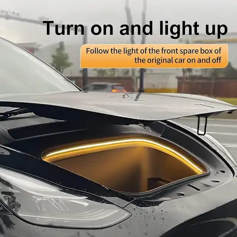 6 best sales Tesla Model 3 Frank - №6