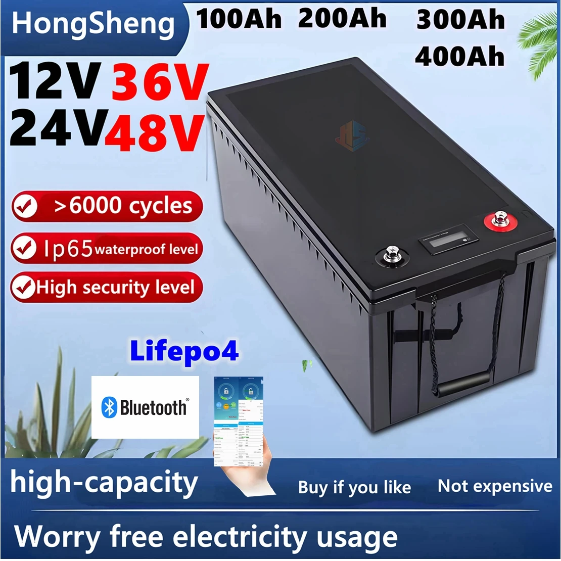 

HS 12V 24V 36V 48V 100AH 150Ah 200AH 300Ah 400Ah lifepo4 lithium battery bluetooth BMS APP for solar inverter EV Fishing boat