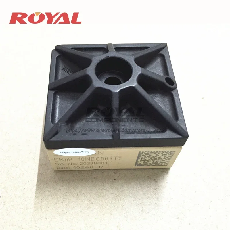 สกีไอพี10NEC063T1