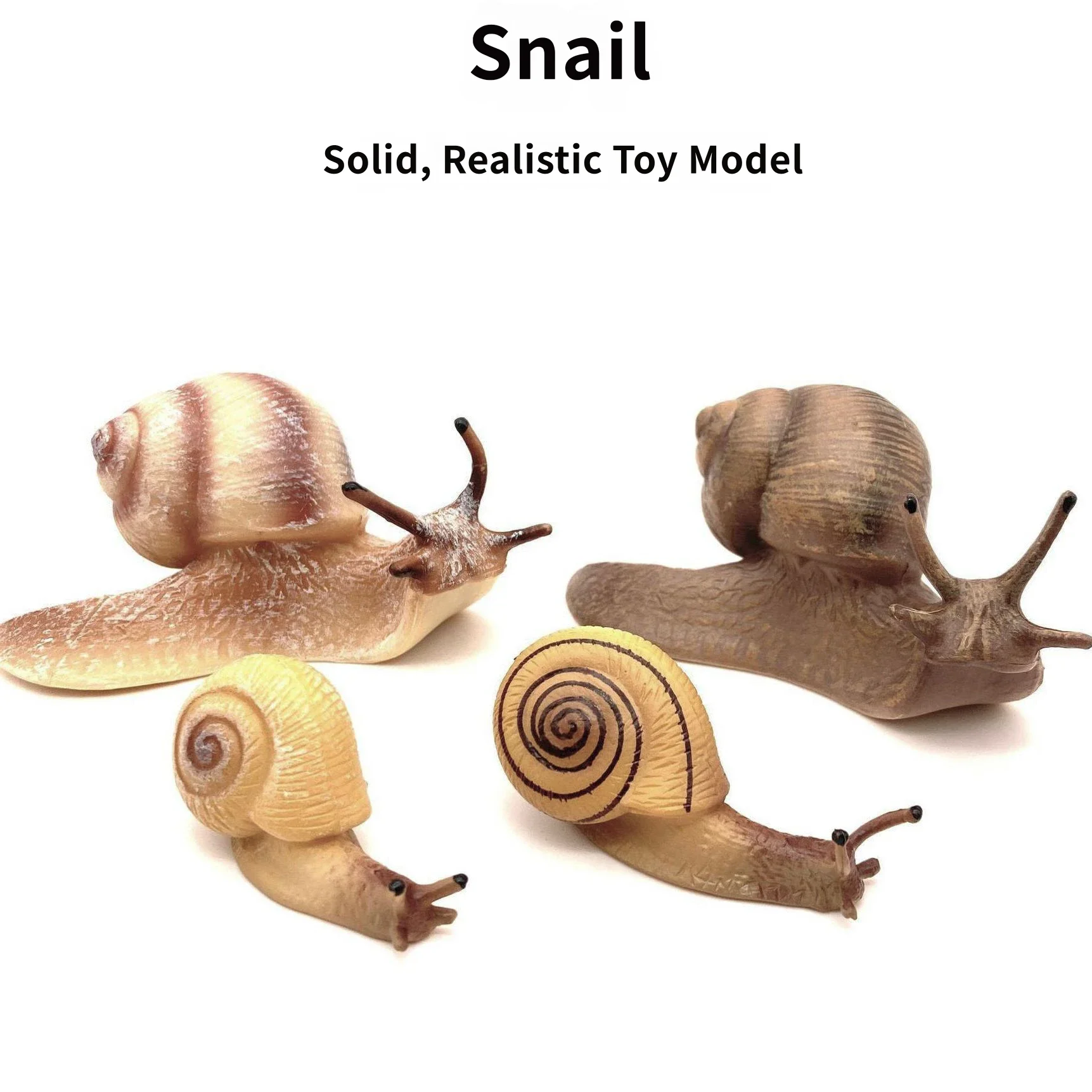 Oenux Wild Insect Animals Snails Growth Cycle Model Garden Decoration Figurines PVC Miniature Cute Education Kids Toys