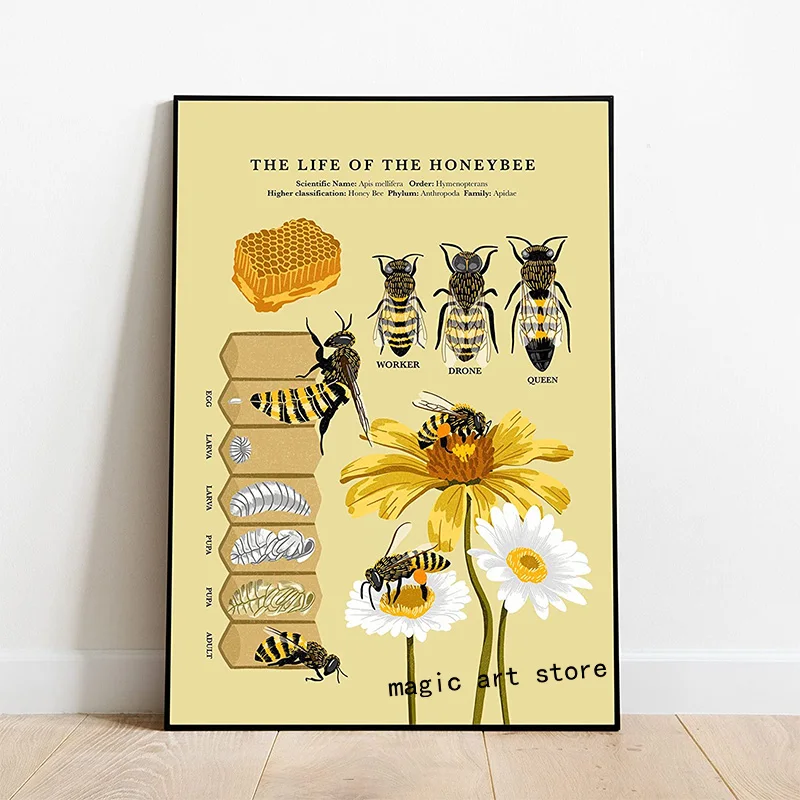 Vintage Ancient The Life of The Honey Bee Natural Insects Biology Art Poster Canvas Painting Wall Print Picture Room Home Decor