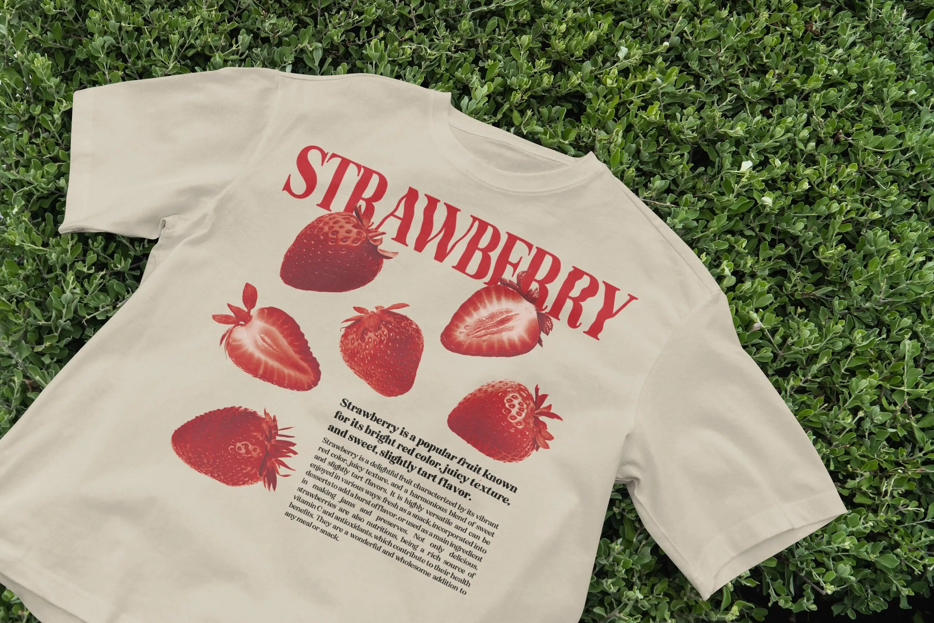 Cute Strawberry T Shirt Cottagecore Aesthetic Harajuku Style Fruit Top Indie Soft Girl Fashion Y2K Vintage Tropical Apparel