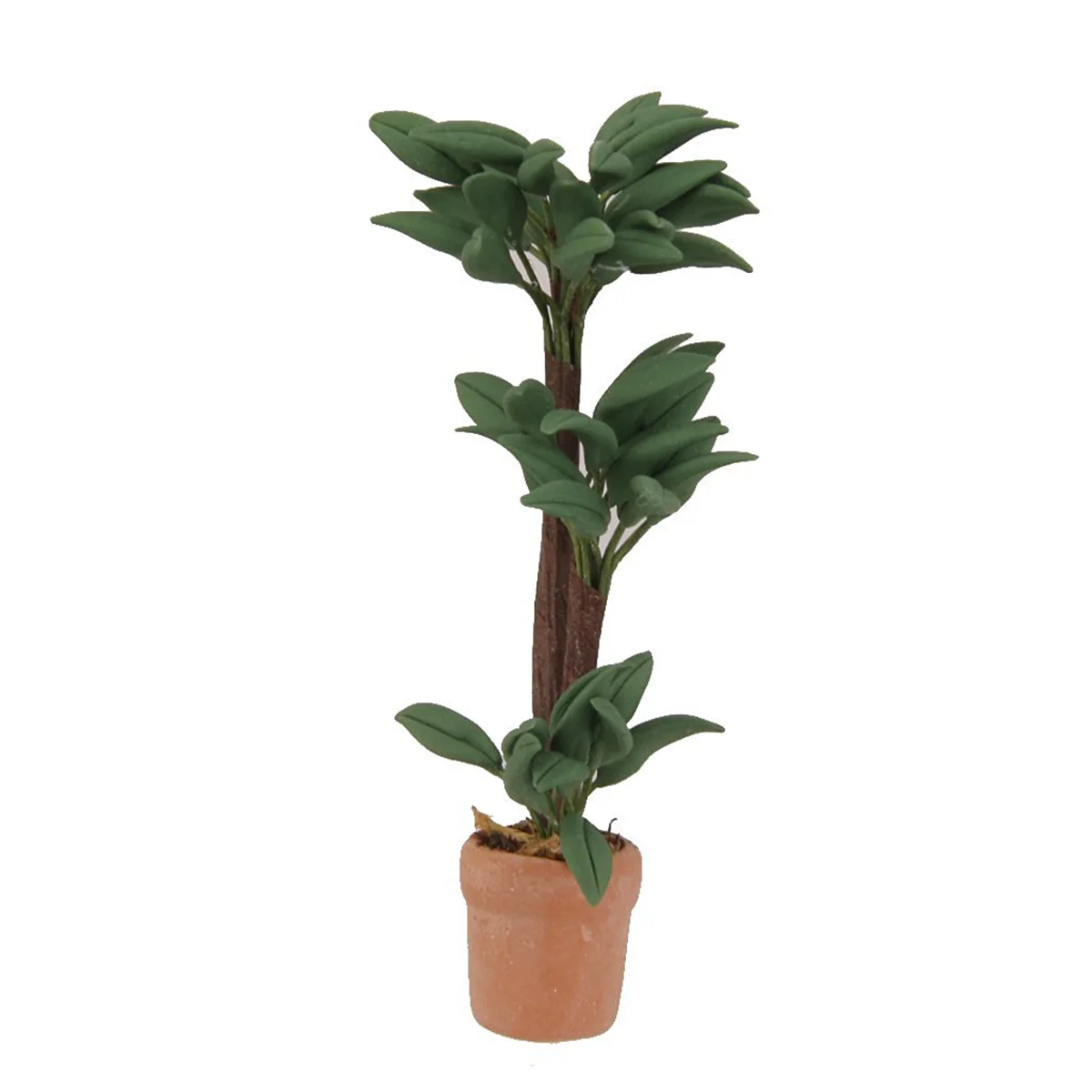 Mini bonsaï Brasiletto 1 12 plante Miniature dans Pot en céramique feuilles de fil de fer réglables décor idéal pas pour les enfants