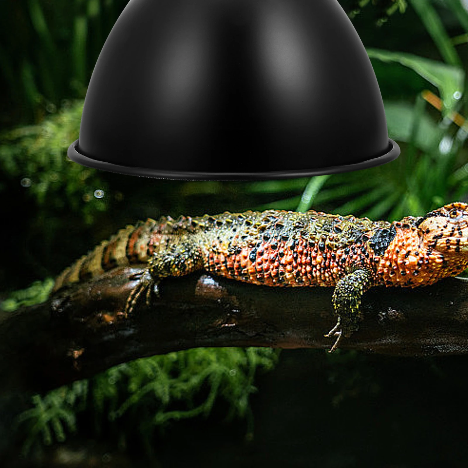 

1pc Heat Lamp Shade Reptile Dome Fixture Insulated Protector Terrarium Covers Iron Lamp Guard Reptile Box Accessories Lighting