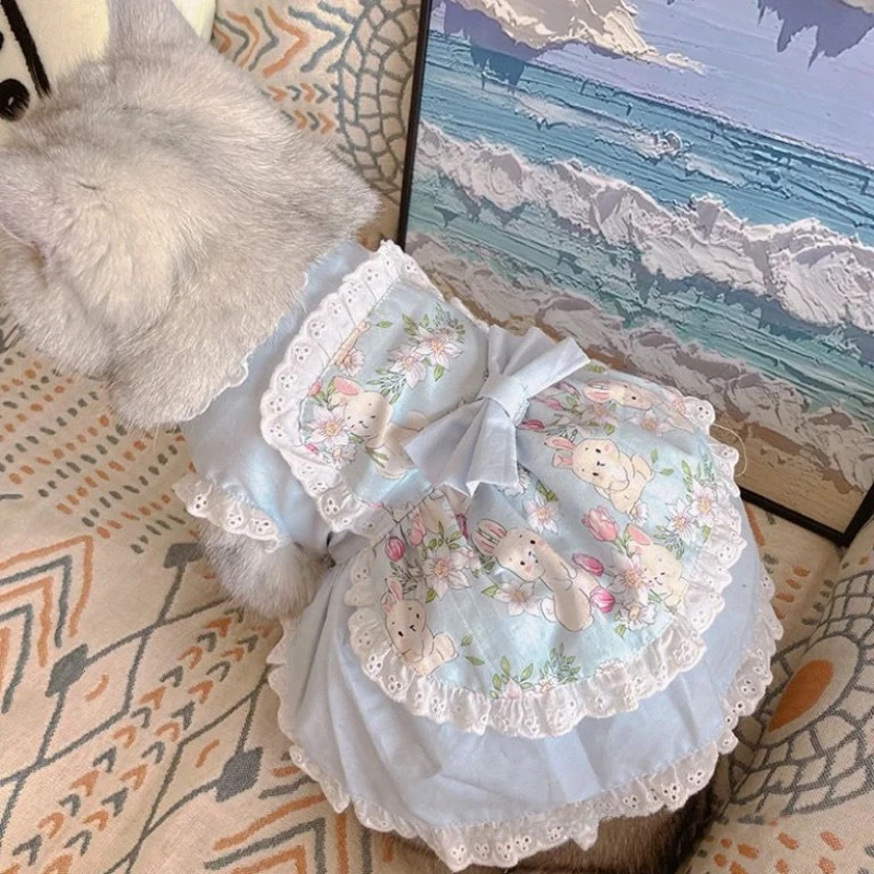 Princess cat skirt Cute Apron Dress Lace Floral Pink dog Dress for Teddy Small Dogs Puppy Clothes pink girl mascots