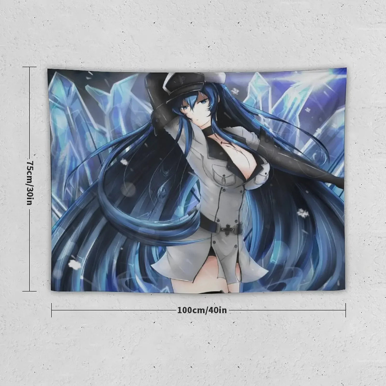 Esdeath - The Empire's General Tapestry Room Aesthetic Decor House Decoration For Bedroom Wallpaper Bedroom Tapestry