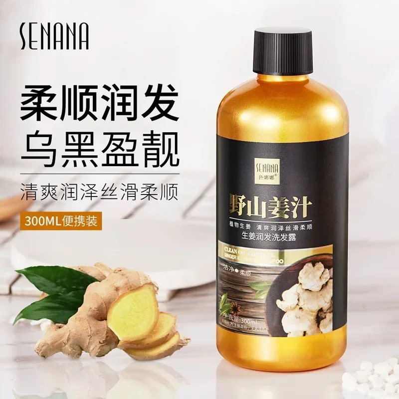 Ginger Hair Shampoo Condicionador Softening Oil Control Moisturizing Nourishing Repair Hair Shampoo