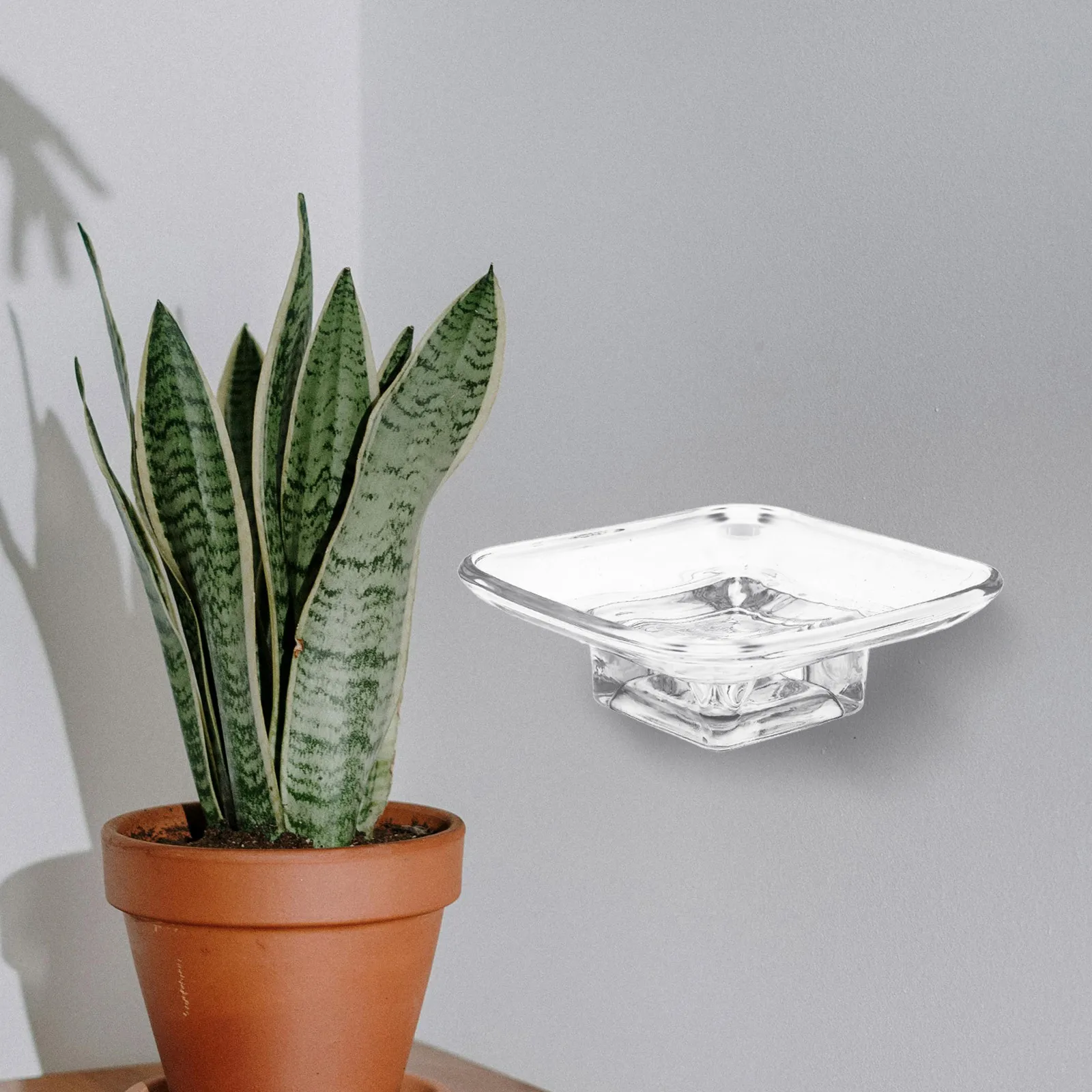 طبق صابون زجاجي أنيق للحمام، تجفيف حوض الحمام يحافظ على جفاف الصابون، صينية زجاجية صغيرة، طبق الحمام #6