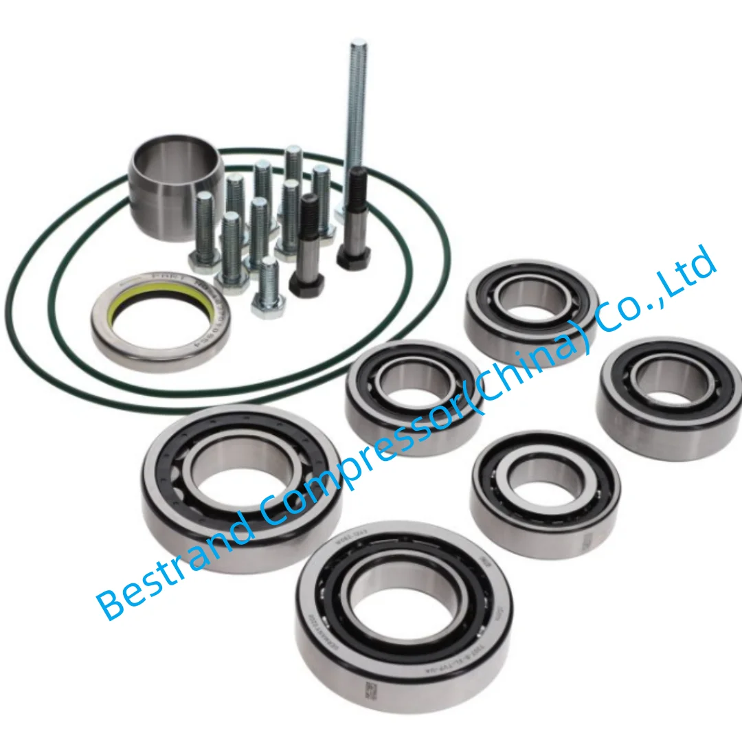 Atlas copco spare parts 3001150038 ELEMENT OVERHAUL KIT C67 H11 FOR OIL INJECTED SCREW COMPRESSOR
