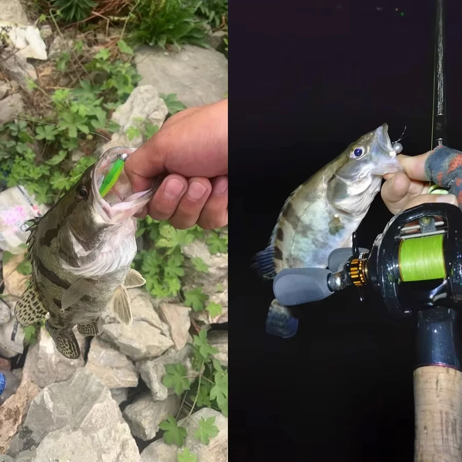 1g 1,8g 2,5g 3,5g 5g Angeljigköpfe, Rundkopf-Rigs Angelhaken für Weichköder und Crankbaits – Detail 7