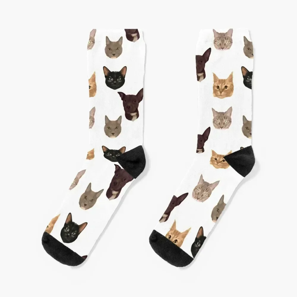 Cats and Dog Portraits Socks tennis japanese fashion cartoon Designer Man Socks Women's