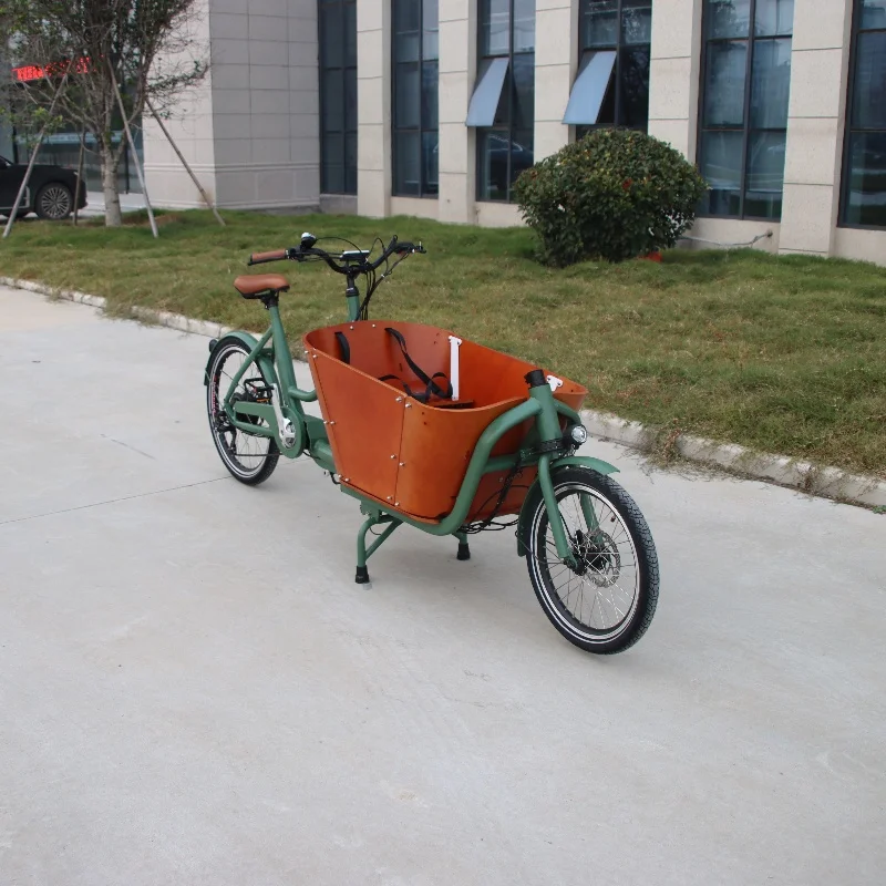 2 Wheel Electric Cargo Bike Netherlands Family Bike OEM Outdoor Transport Ebike Cargo Fat Tire Bicycle Bicycle Cargo