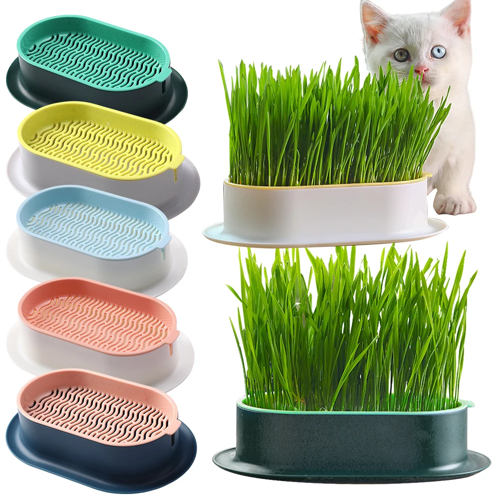 

Гидропонный контейнер для выращивания травы для кошек Pet Cat Sprout Dish: многоразовый лоток для гидропоники, коробка для посадки без почвы, горшок для кошачьей травы для легкого выращивания