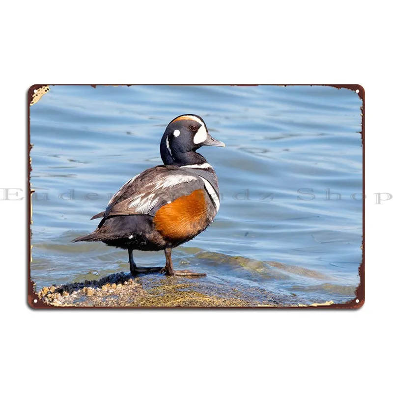 Beautiful Harlequin Duck Metal Signs Rusty Garage Wall Mural Cinema Tin Sign Poster