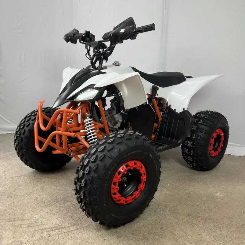 125cc Automatic Chain Drive 4-Stroke Quad Bike ATV Motorcycle for Adults with CE Certification and 2WD