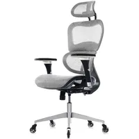 Ergonomic Office Chair - Rolling Desk Chair with 4D Adjustable Armrest, 3D Lumbar Support  Mesh Computer Chair, Gaming Chairs