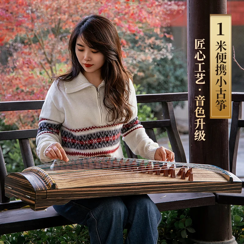 Guzheng portable children's adult small guzheng beginner introductory examination performance 21-string daily practice guzheng